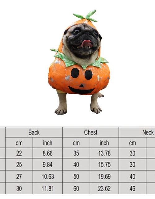 Load image into Gallery viewer, Halloween Dog Clothes Funny Pet Dogs Cosplay Costumes Set Christmas Dog Costume Comical Outfits for Pet Cat Puppy Party Clothing
