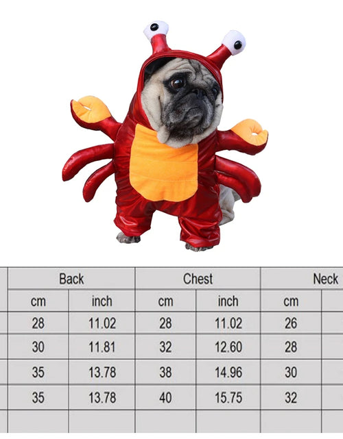 Load image into Gallery viewer, Halloween Dog Clothes Funny Pet Dogs Cosplay Costumes Set Christmas Dog Costume Comical Outfits for Pet Cat Puppy Party Clothing
