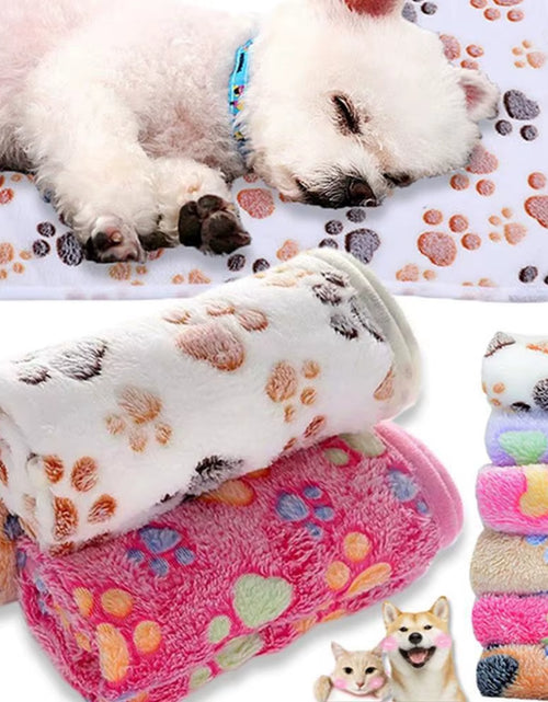 Load image into Gallery viewer, Soft Fluffy High Quality Pet Blanket Cute Cartoon Pattern Pet Mat Warm and Comfortable Blanket for Cat Dogs

