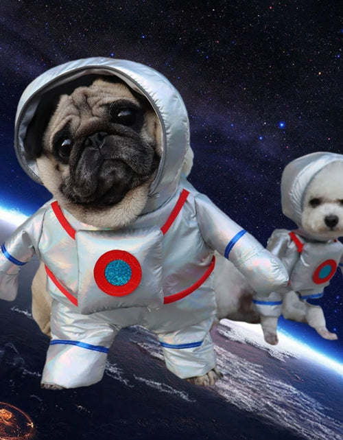 Load image into Gallery viewer, Halloween Dog Clothes Funny Pet Dogs Cosplay Costumes Set Christmas Dog Costume Comical Outfits for Pet Cat Puppy Party Clothing
