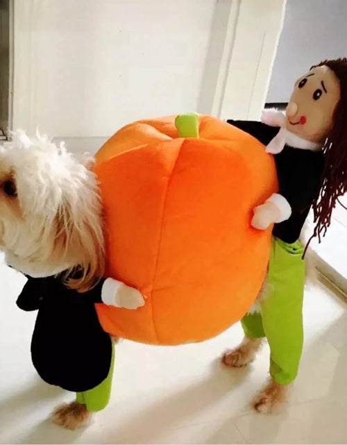 Load image into Gallery viewer, Halloween Dog Clothes Funny Pet Dogs Cosplay Costumes Set Christmas Dog Costume Comical Outfits for Pet Cat Puppy Party Clothing
