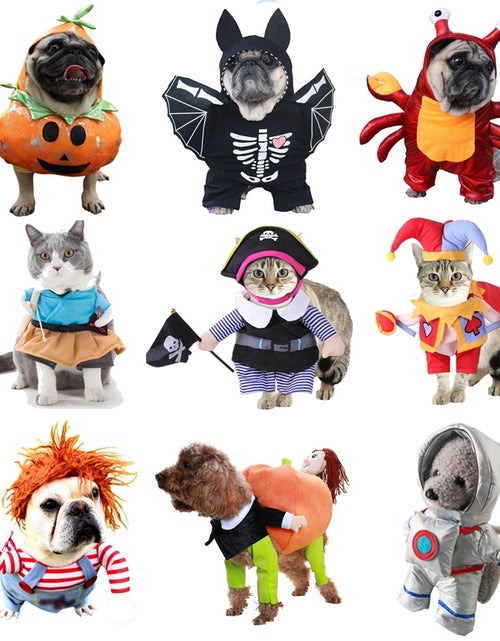 Load image into Gallery viewer, Halloween Dog Clothes Funny Pet Dogs Cosplay Costumes Set Christmas Dog Costume Comical Outfits for Pet Cat Puppy Party Clothing
