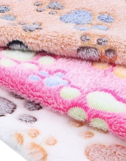 Load image into Gallery viewer, Soft Fluffy High Quality Pet Blanket Cute Cartoon Pattern Pet Mat Warm and Comfortable Blanket for Cat Dogs

