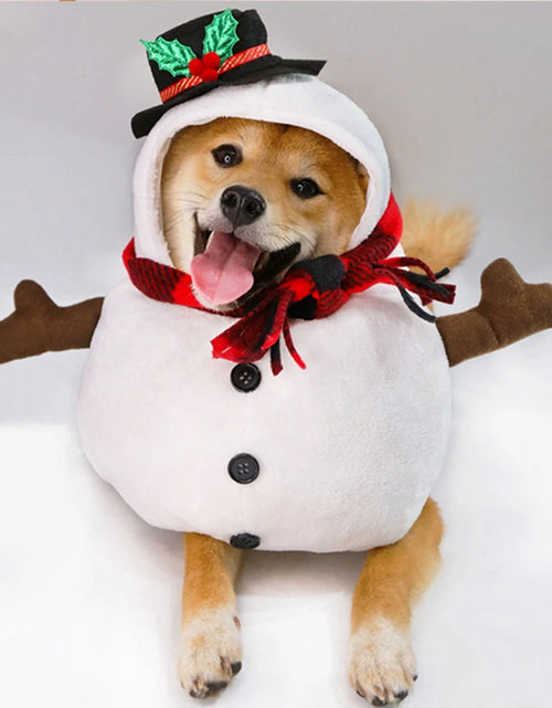 Load image into Gallery viewer, Halloween Dog Clothes Funny Pet Dogs Cosplay Costumes Set Christmas Dog Costume Comical Outfits for Pet Cat Puppy Party Clothing
